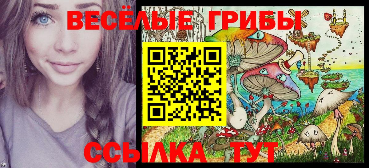 Псилоцибиновые грибы GOLDEN TEACHER Орск